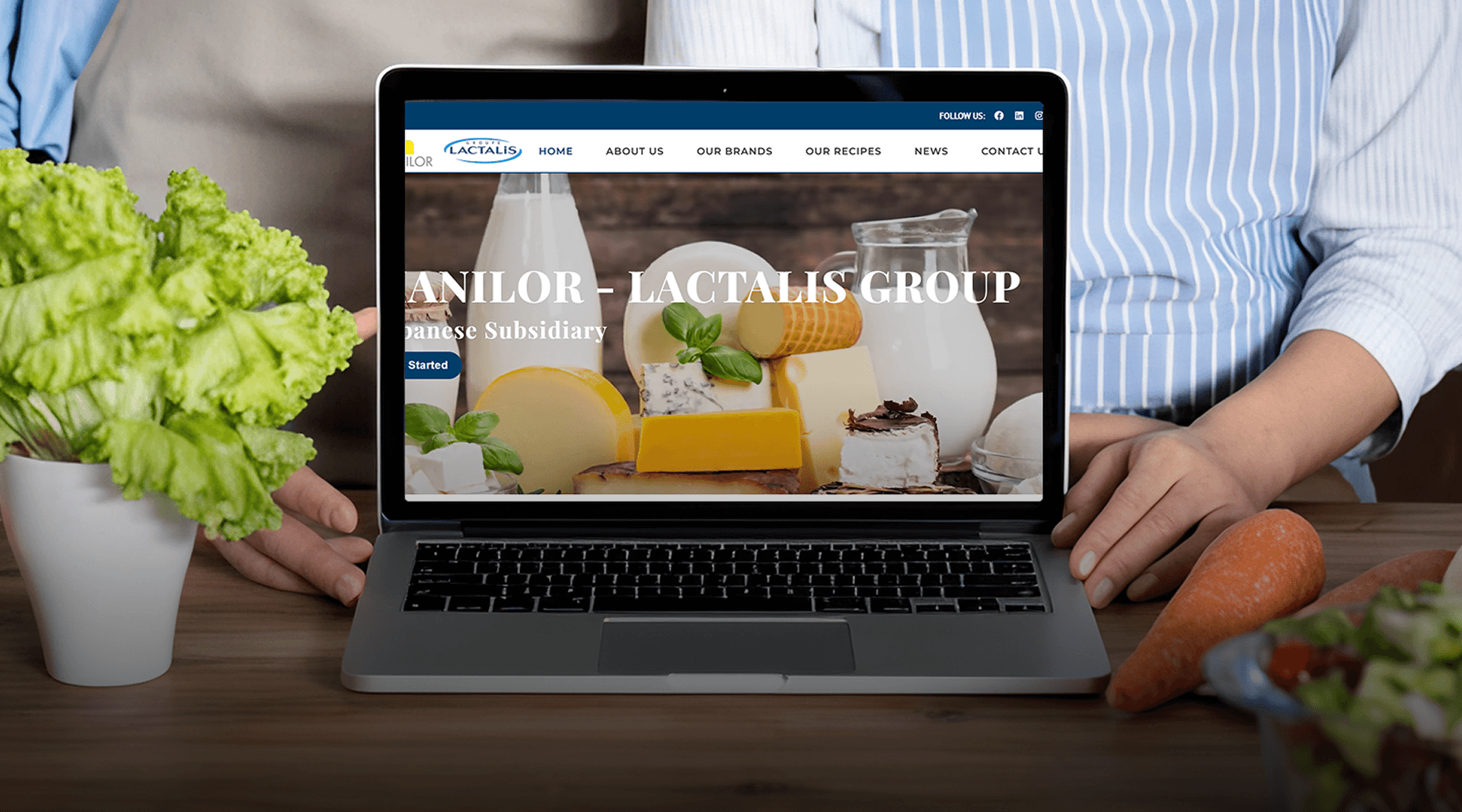 HANILOR - LACTALIS GROUP - Website Design